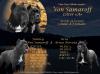 Продам щенка Россия, Белгород Кане корсо